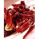 Roter Hibiskus, getrocknete Blüten, Metalldose, Karton mit 6 x 300 g