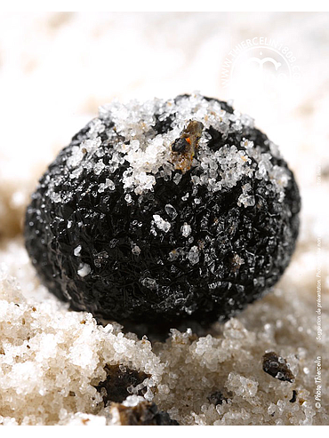 BLACK TRUFFLE SALT, Naturally flavored salt flakes with 6% black truffle (Tuber melanosporum), bulk (kg)