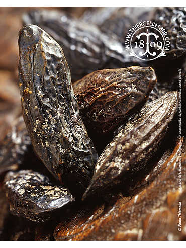 TONKA-BOHNEN, ganz, leerer 20 kg Karton, lose Kilo