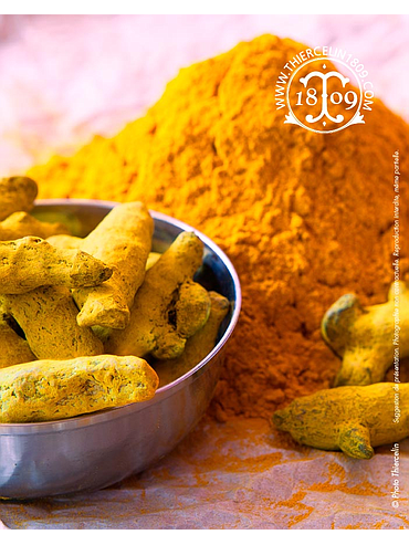 CURCUMA BIOLOGICA, Polvere, sacco da 25 kg