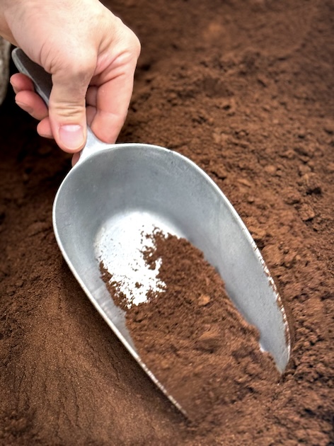 Bourbon vanillepoeder, gemalen vanillepeulen (capsules), bulkverpakking