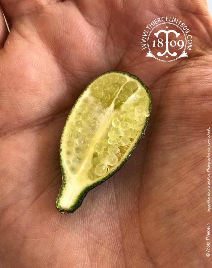 CITRON CAVIAR, frais entier, barquette de 100 g