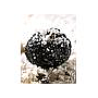 BLACK TRUFFLE SALT, Naturally flavored salt flakes with 6% black truffle (Tuber melanosporum), bulk (kg)